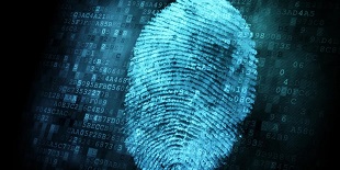 Lifescan fingerprint services
